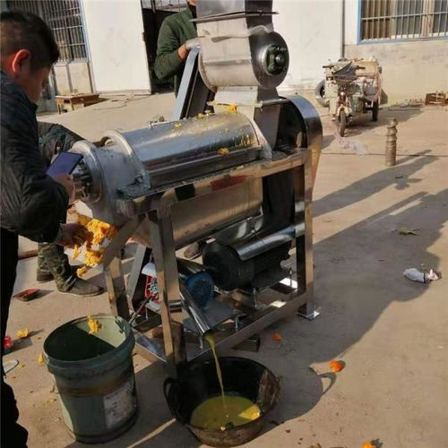 溫州工業果蔬榨汁機 創新定制生產與前沿生物感測器技術的融合